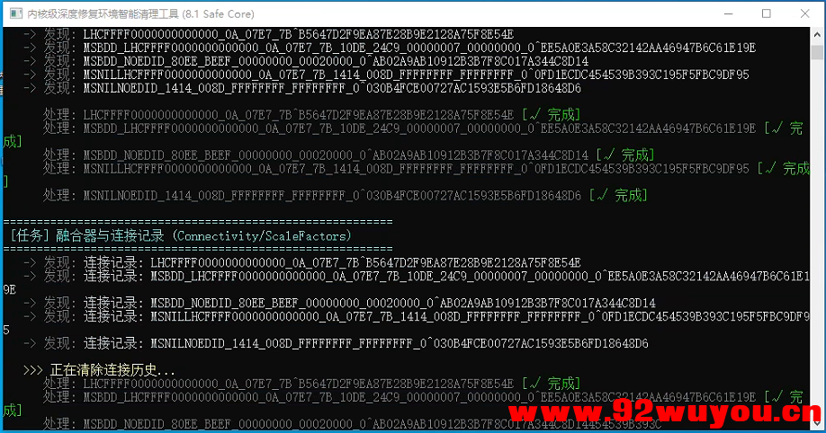 内核级环境清理工具，解决环境问题 可搭配解机器码工具  656 无忧技术吧www.92wuyou.cn